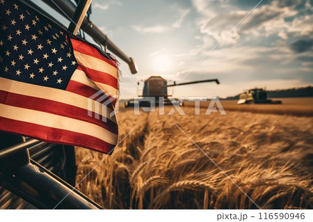 the combine harvester harvests wheat in the field with flag USA 116590946