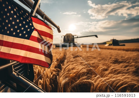 the combine harvester harvests wheat in the field with flag USA 116591013