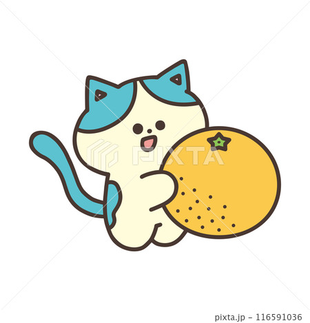 みかんを持ったかわいい猫のイラスト 116591036