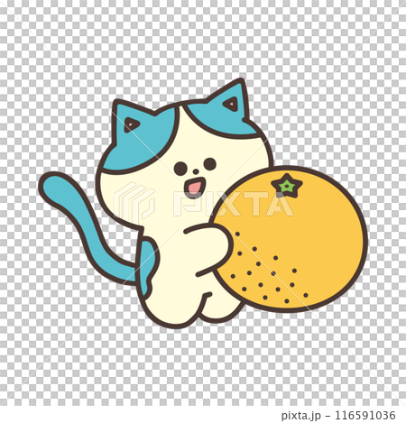 みかんを持ったかわいい猫のイラスト 116591036