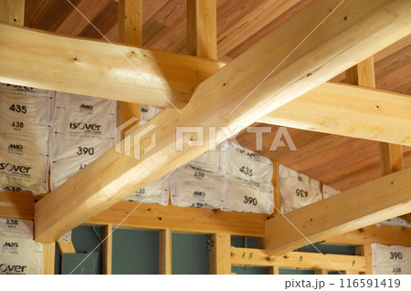 新築住宅の基礎工事現場の内装の骨組み 新築住宅の基礎工事現場の内装の骨組み 116591419