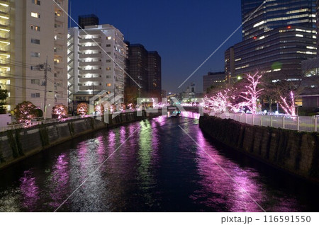 目黒川みんなのイルミネーション 116591550