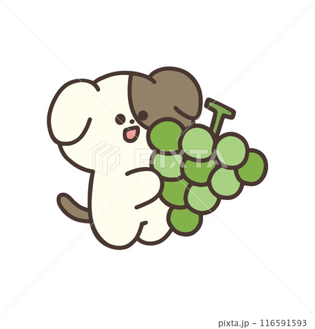 マスカットを持ったかわいい犬のイラスト 116591593