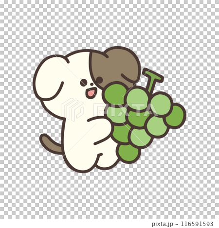 マスカットを持ったかわいい犬のイラスト 116591593