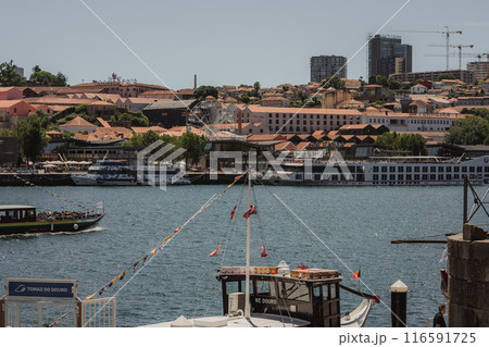 In the background is a city next to a vast expanse of water 116591725