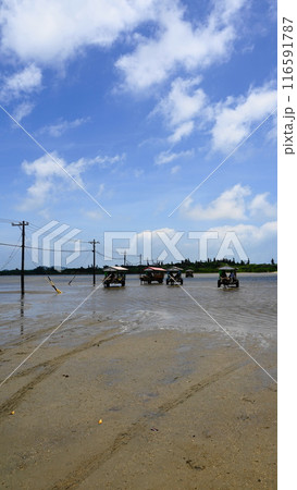 海を渡る由布島の水牛車　7月由布島49水牛車V9.16・沖縄八重山諸島 116591787
