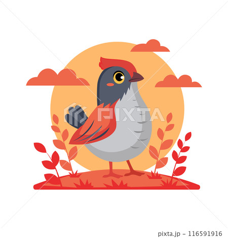 The cartoon bird, quail it is a farm animal in a vector illustration 116591916