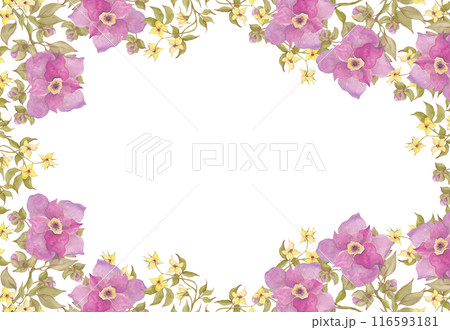 Garden and wild flowers. Modern floral frame. Wildflowers are yellow and fuchsia colors. Ideal for decorating packaging, tableware, kitchen utensils, tablecloths, wallpaper and fabric. Wall of flowers Garden and wild flowers. Modern floral frame. Wildflowers are yellow and fuchsia colors. Ideal for decorating packaging, tableware, kitchen utensils, tablecloths, wallpaper and fabric. Wall of flowers 116593181