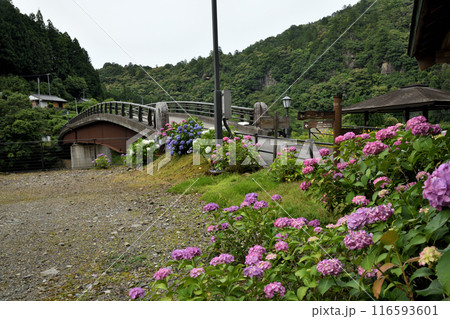 小和瀬橋(小雲取越) 【和歌山県新宮市熊野川町】 小和瀬橋(小雲取越) 【和歌山県新宮市熊野川町】 116593601