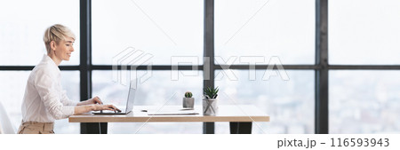 Successful Business Career. Businesswoman Working At Laptop Sitting In Modern Office. Side View, Free Space, Web-banner Successful Business Career. Businesswoman Working At Laptop Sitting In Modern Office. Side View, Free Space, Web-banner 116593943
