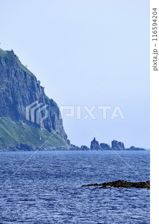 知床羅臼の崩浜から見た知床半島観音岩近く 116594204