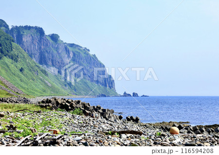 知床羅臼の崩浜から見た知床半島観音岩近く 116594208