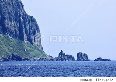 知床羅臼の崩浜から見た知床半島観音岩近く 116594212