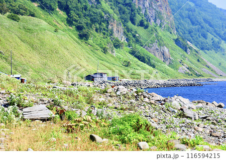 知床羅臼の崩浜から見た知床半島観音岩近く 116594215