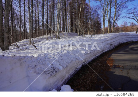 冬季月山の除雪された道路 冬季月山の除雪された道路 116594269
