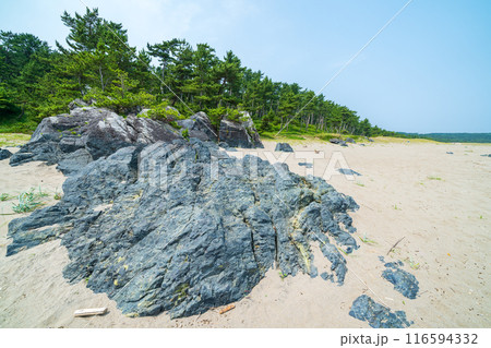 「青森県」みちのく潮風トレイル大須賀海岸の風景・八戸市 116594332