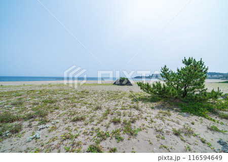 「青森県」みちのく潮風トレイル大須賀海岸の風景・八戸市 116594649