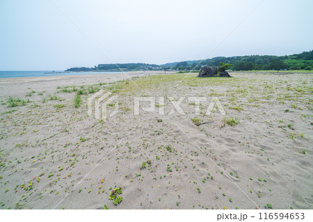 「青森県」みちのく潮風トレイル大須賀海岸の風景・八戸市 116594653