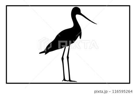 Avocet Bird Silhouette Vector - Graceful Shorebird Illustration and Wildlife Clipart Avocet Bird Silhouette Vector - Graceful Shorebird Illustration and Wildlife Clipart 116595264