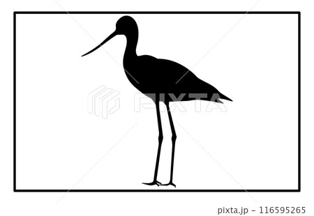 Avocet Bird Silhouette Vector - Graceful Shorebird Illustration and Wildlife Clipart Avocet Bird Silhouette Vector - Graceful Shorebird Illustration and Wildlife Clipart 116595265