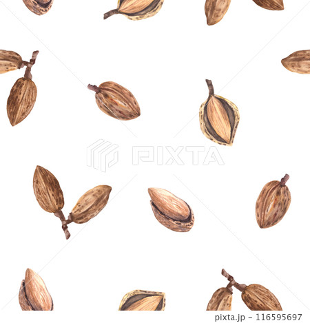 Almonds nut in nutshell Watercolor seamless pattern. Hand painted kernel. Organic vegetarian Food. Healthy harvest, unpeeled stone fruit clipart on isolated background for wallpaper, packaging, fabric 116595697