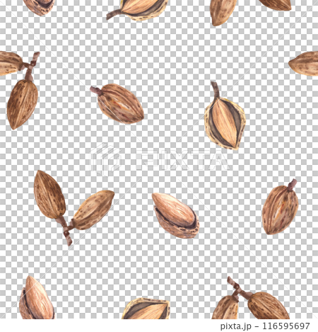 Almonds nut in nutshell Watercolor seamless pattern. Hand painted kernel. Organic vegetarian Food. Healthy harvest, unpeeled stone fruit clipart on isolated background for wallpaper, packaging, fabric 116595697
