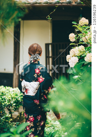 浴衣を着た若い女性の後ろ姿 浴衣を着た若い女性の後ろ姿 116596239