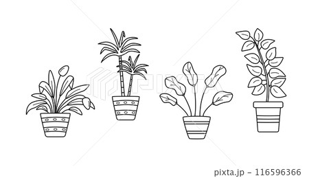 Cartoon flowers in pots outline. Vector illustration of indoor plants for the interior. Cartoon flowers in pots outline. Vector illustration of indoor plants for the interior. 116596366