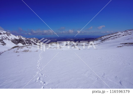 冬季鳥海山の雪原の足跡 冬季鳥海山の雪原の足跡 116596379