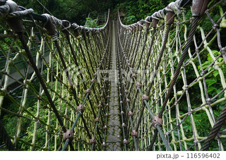 太魯閣渓谷のつり橋 116596402