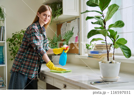 Young woman cleaning room, dusting, cleaning with spray and cloth 116597031