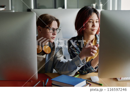 Caucasian teenager helping his Asian classmate with code during Computer Science lesson at school 116597246