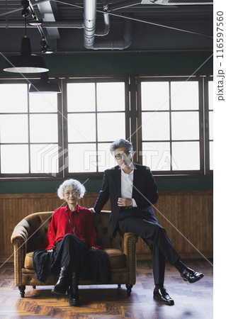 パソコンを見るグレイヘアのカップル 116597560