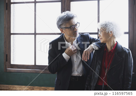 パソコンを見るグレイヘアのカップル パソコンを見るグレイヘアのカップル 116597565
