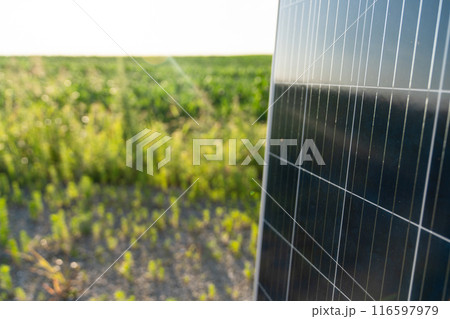 Solar panel on a field. Sustainable energy 116597979