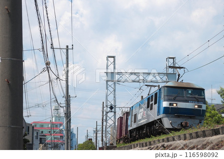 貨物街道の南武支線を走行するEF210-135号機牽引の貨物列車_2024/6/1撮影 116598092