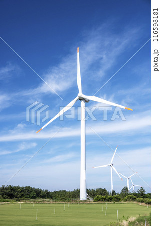 青空に映える風力発電機　（鳥取県北栄町） 116598181