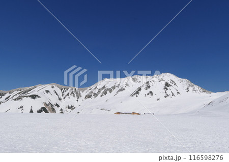5月上旬の立山黒部アルペンルート 立山室堂平から望む別山 真砂岳 5月上旬の立山黒部アルペンルート 立山室堂平から望む別山 真砂岳 116598276