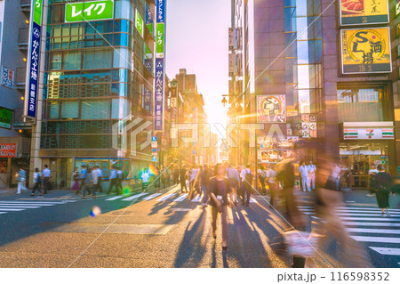 日本の東京都市景観 新橋駅(日比谷口)・新橋SL広場前の飲み屋街などを望む…希望の光=7月3日 日本の東京都市景観 新橋駅(日比谷口)・新橋SL広場前の飲み屋街などを望む…希望の光=7月3日 116598352