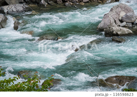 《激流イメージ・夏の渓流》馬瀬川上流・岐阜県 116598623
