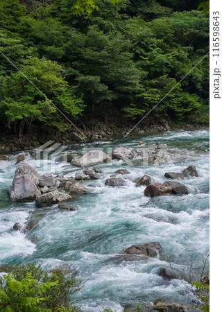 《激流イメージ・夏の渓流》馬瀬川上流・岐阜県 《激流イメージ・夏の渓流》馬瀬川上流・岐阜県 116598643