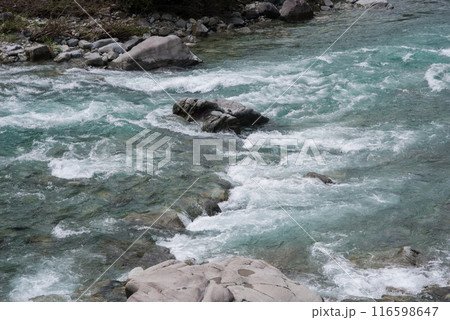 《激流イメージ・夏の渓流》馬瀬川上流・岐阜県 《激流イメージ・夏の渓流》馬瀬川上流・岐阜県 116598647