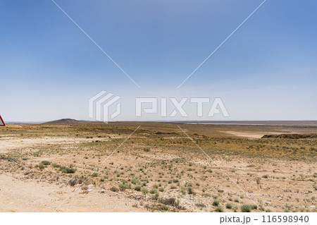 カザフスタンのマンギスタウのウスチュルト台地 116598940