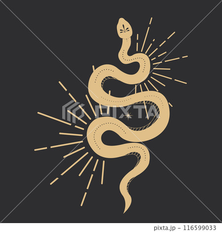 Celestial serpent snake, esoteric tarot or tattoo mystery sacred symbol. Linocut style boho. Occultism and religion, sacred rites and sacrifice. Reptile 116599033