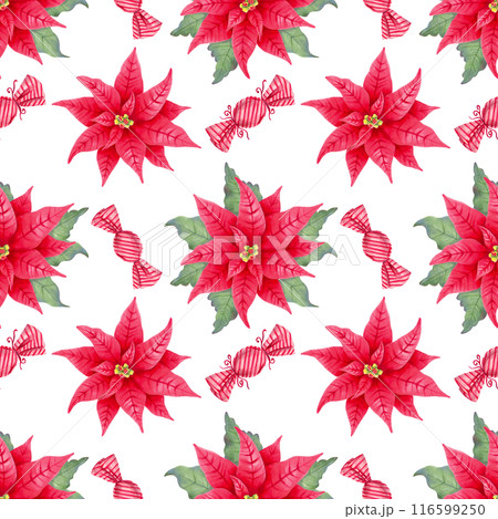 Poinsettia flower with leaves and caramel candies, lollipop. Seamless hand drawn pattern isolated from background. Illustration with watercolor, marker. Backdrop for Christmas and New Year holidays. 116599250