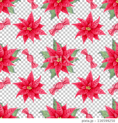 Poinsettia flower with leaves and caramel candies, lollipop. Seamless hand drawn pattern isolated from background. Illustration with watercolor, marker. Backdrop for Christmas and New Year holidays. 116599250