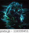 光を浴びて輝く猫 116599451