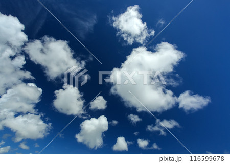 夏の沖縄　青い空と白い雲 116599678