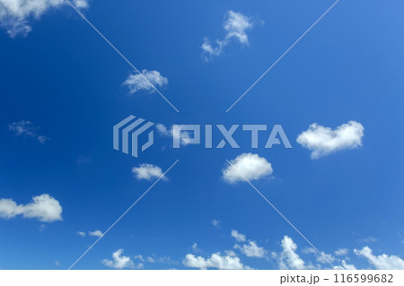 夏の沖縄　青い空と白い雲 116599682