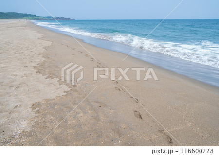 「青森県」みちのく潮風トレイル大須賀海岸の風景・八戸市 「青森県」みちのく潮風トレイル大須賀海岸の風景・八戸市 116600228